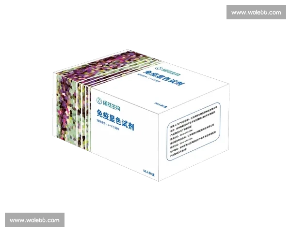 vs马达驱动技术创新与高效应用发展全景解析趋势深度剖析指南 vs马达驱动技术创新与高效应用发展全景解析趋势深度剖析指南